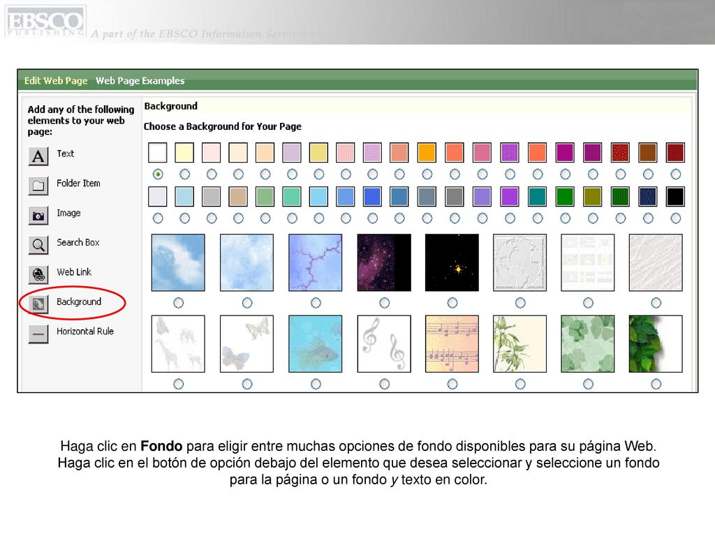Haga clic en Fondo para eligir entre muchas opciones de fondo disponibles para su página Web.