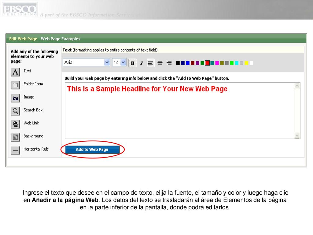 Ingrese el texto que desee en el campo de texto, elija la fuente, el tamaño y color y luego haga clic en Añadir a la página Web.
