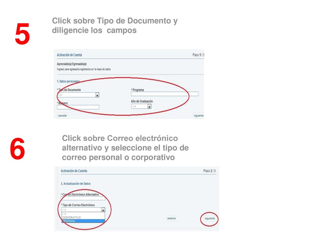5 6 Click sobre Tipo de Documento y diligencie los campos