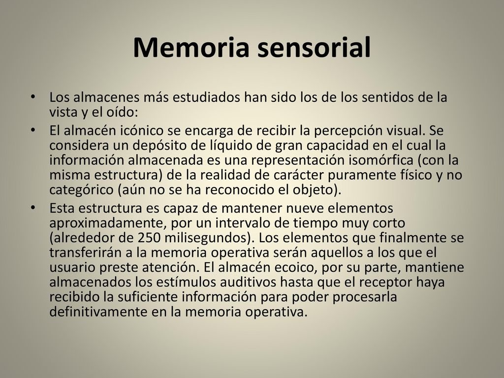 Memoria sensorial Los almacenes más estudiados han sido los de los sentidos de la vista y el oído: