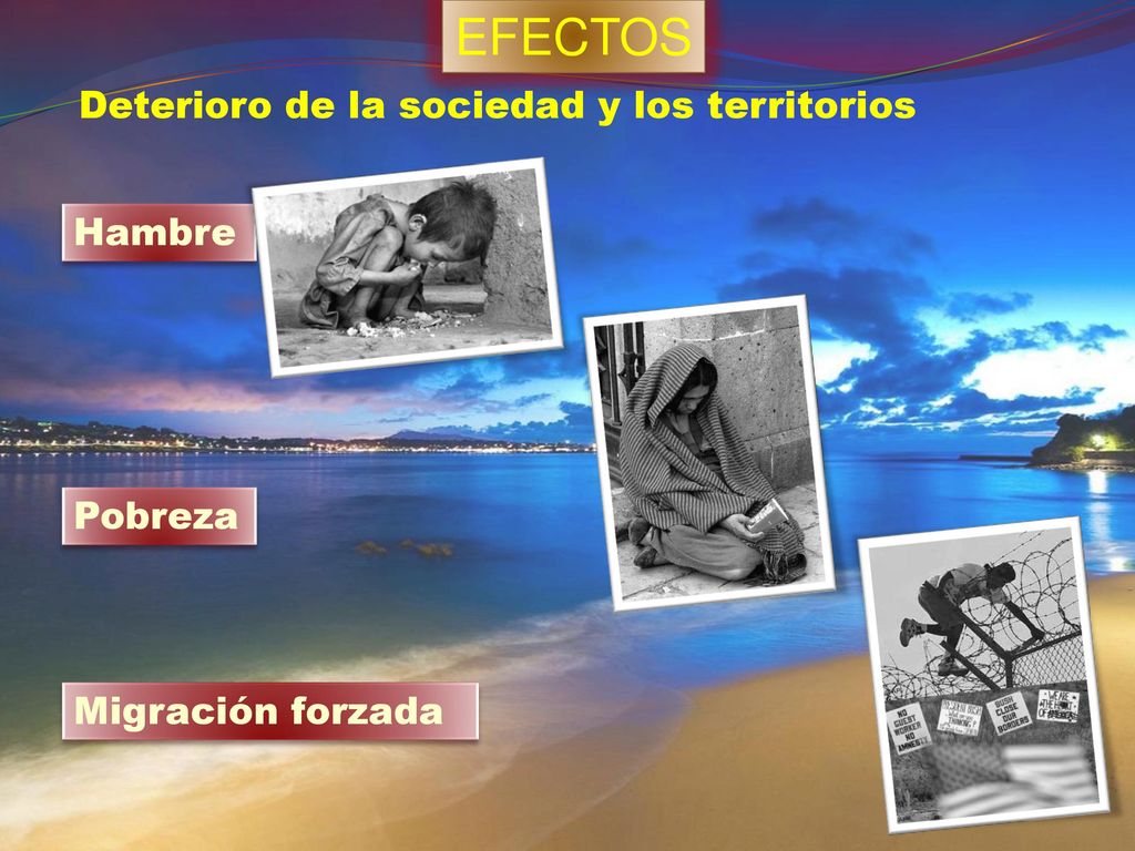 EFECTOS Deterioro de la sociedad y los territorios Hambre Pobreza