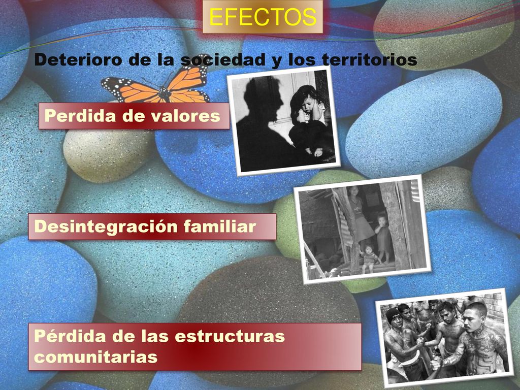EFECTOS Deterioro de la sociedad y los territorios Perdida de valores