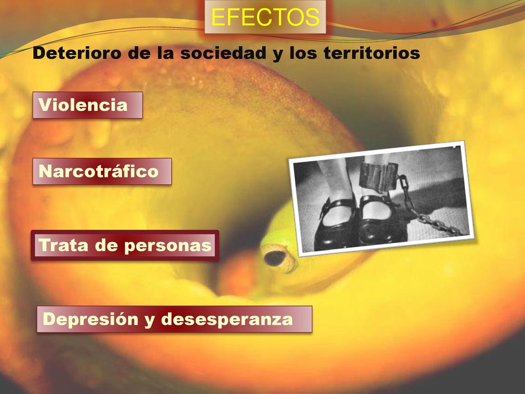 EFECTOS Deterioro de la sociedad y los territorios Violencia
