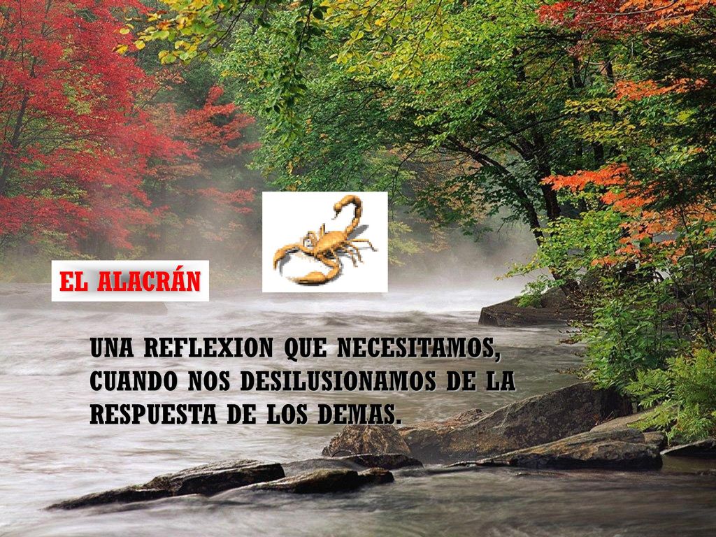 EL ALACRÁN UNA REFLEXION QUE NECESITAMOS, CUANDO NOS DESILUSIONAMOS DE LA RESPUESTA DE LOS DEMAS.