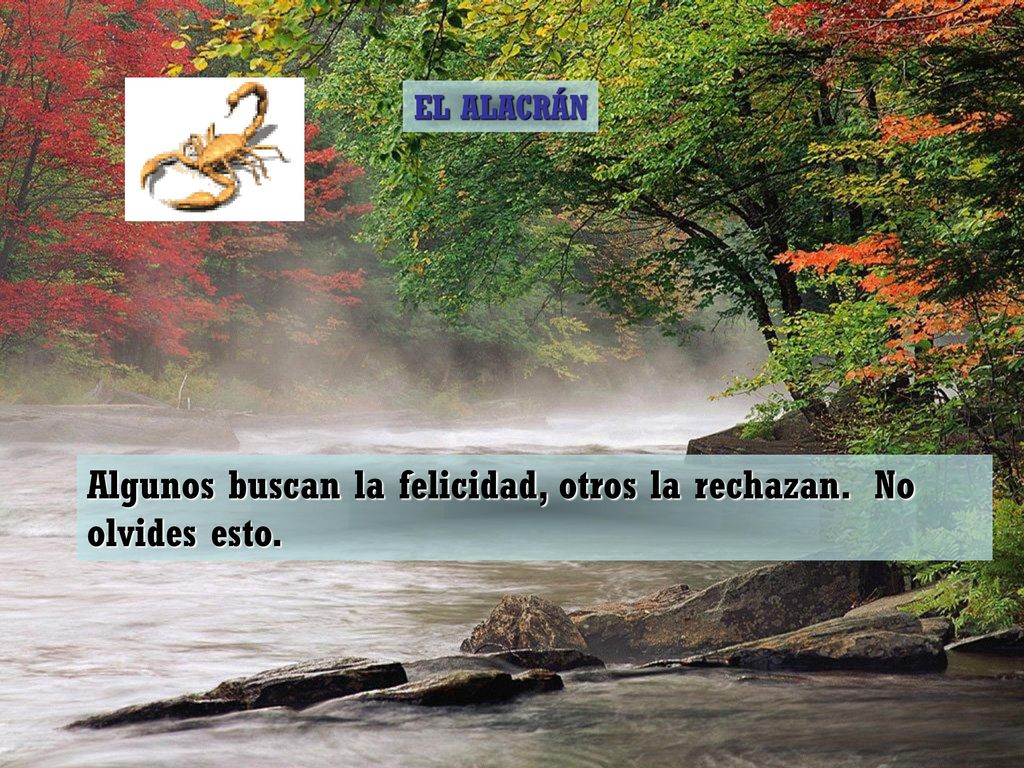 Algunos buscan la felicidad, otros la rechazan. No olvides esto.