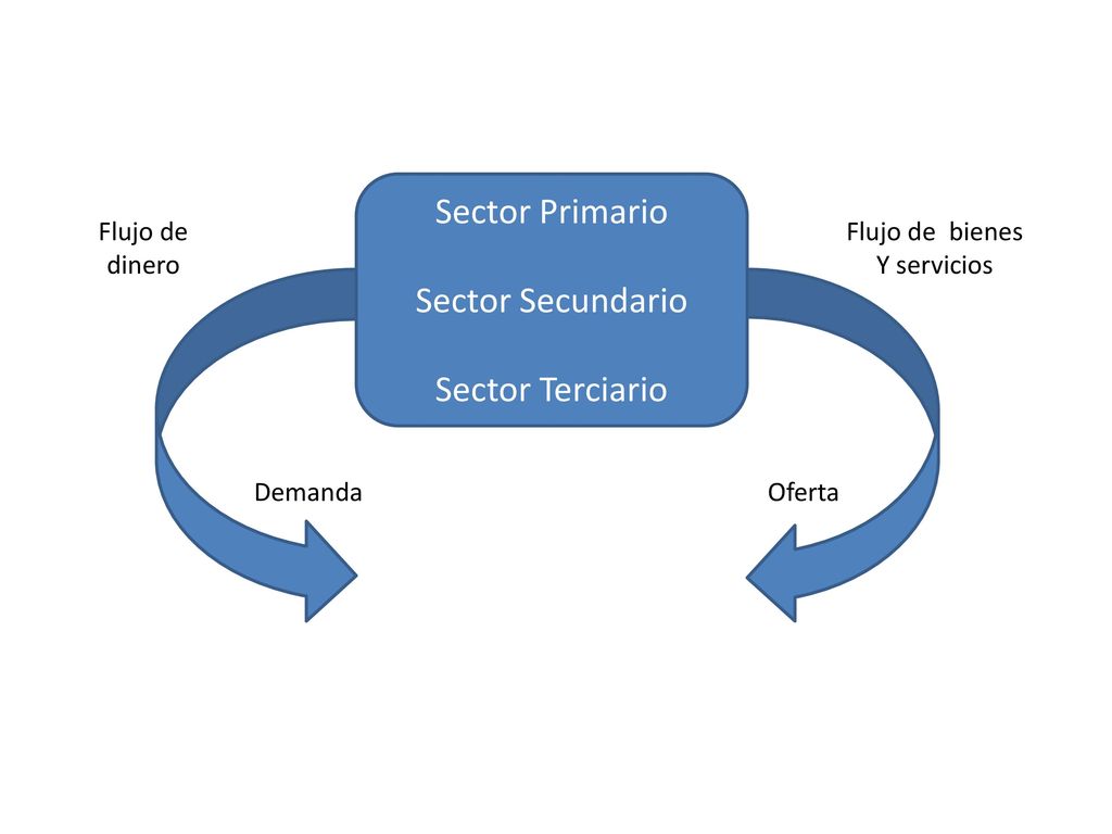 Sector Primario Sector Secundario Sector Terciario Flujo de bienes