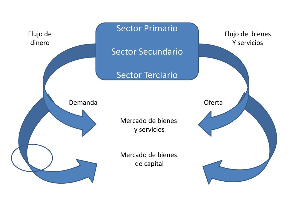 Sector Primario Sector Secundario Sector Terciario Flujo de bienes