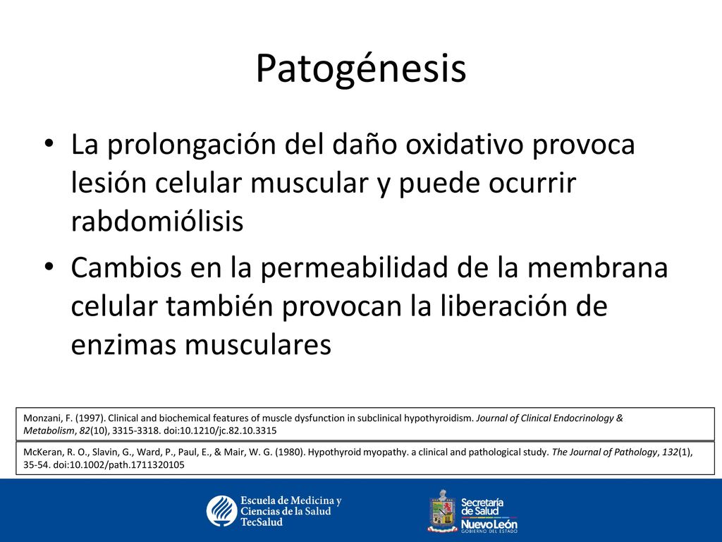 Patogénesis La prolongación del daño oxidativo provoca lesión celular muscular y puede ocurrir rabdomiólisis.