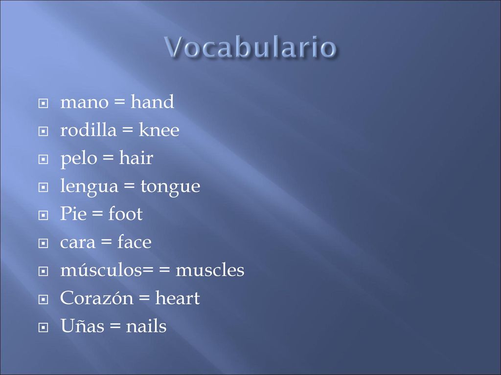 Vocabulario mano = hand rodilla = knee pelo = hair lengua = tongue