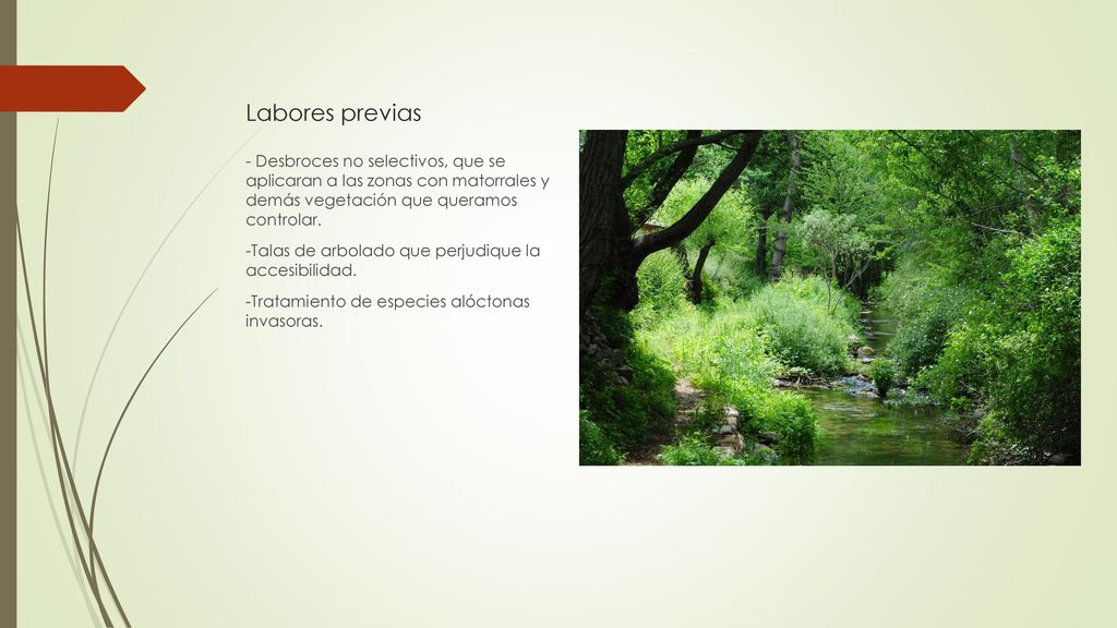 Labores previas - Desbroces no selectivos, que se aplicaran a las zonas con matorrales y demás vegetación que queramos controlar.