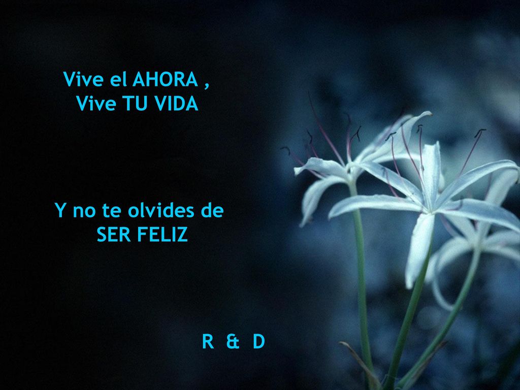 Vive el AHORA , Vive TU VIDA Y no te olvides de SER FELIZ R & D