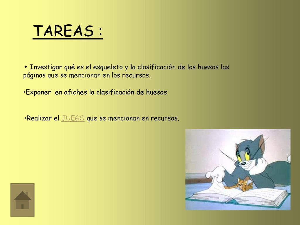 TAREAS : Investigar qué es el esqueleto y la clasificación de los huesos las páginas que se mencionan en los recursos.