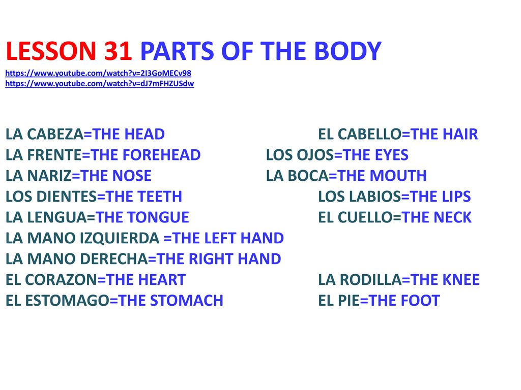 LESSON 31 PARTS OF THE BODY   youtube. com/watch