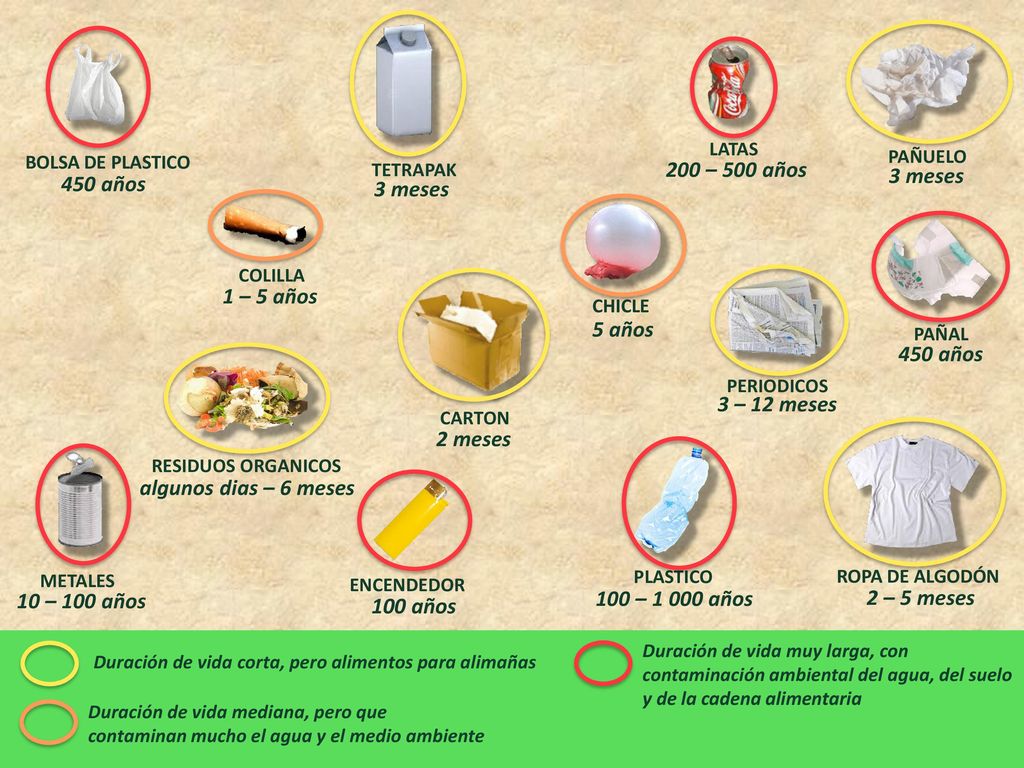 Duración de vida corta, pero alimentos para alimañas