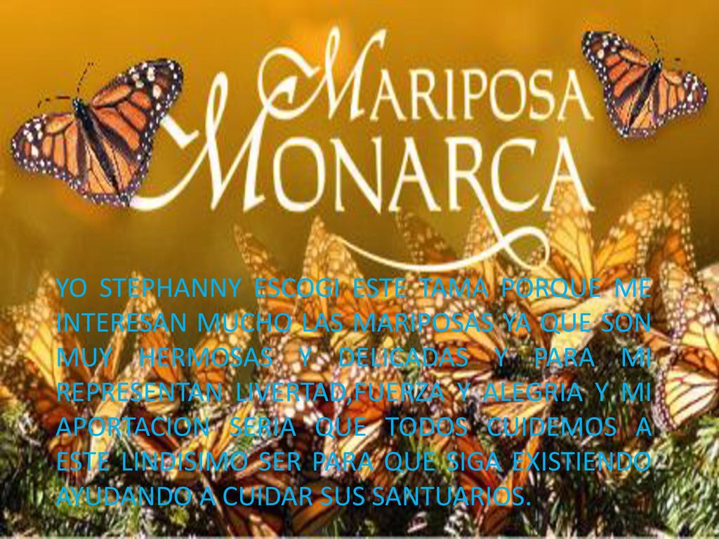 YO STEPHANNY ESCOGI ESTE TAMA PORQUE ME INTERESAN MUCHO LAS MARIPOSAS YA QUE SON MUY HERMOSAS Y DELICADAS Y PARA MI REPRESENTAN LIVERTAD,FUERZA Y ALEGRIA Y MI APORTACION SERIA QUE TODOS CUIDEMOS A ESTE LINDISIMO SER PARA QUE SIGA EXISTIENDO AYUDANDO A CUIDAR SUS SANTUARIOS.