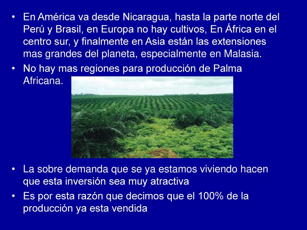 En América va desde Nicaragua, hasta la parte norte del Perú y Brasil, en Europa no hay cultivos, En África en el centro sur, y finalmente en Asia están las extensiones mas grandes del planeta, especialmente en Malasia.