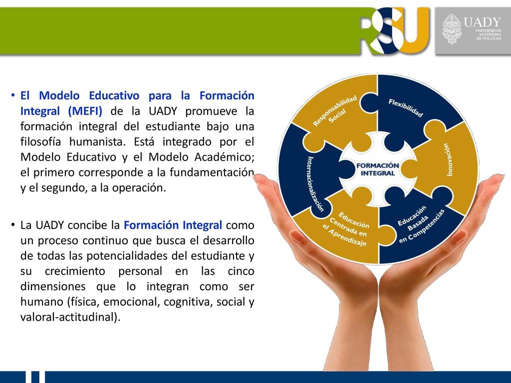 El Modelo Educativo para la Formación Integral (MEFI) de la UADY promueve la formación integral del estudiante bajo una filosofía humanista. Está integrado por el Modelo Educativo y el Modelo Académico; el primero corresponde a la fundamentación y el segundo, a la operación.