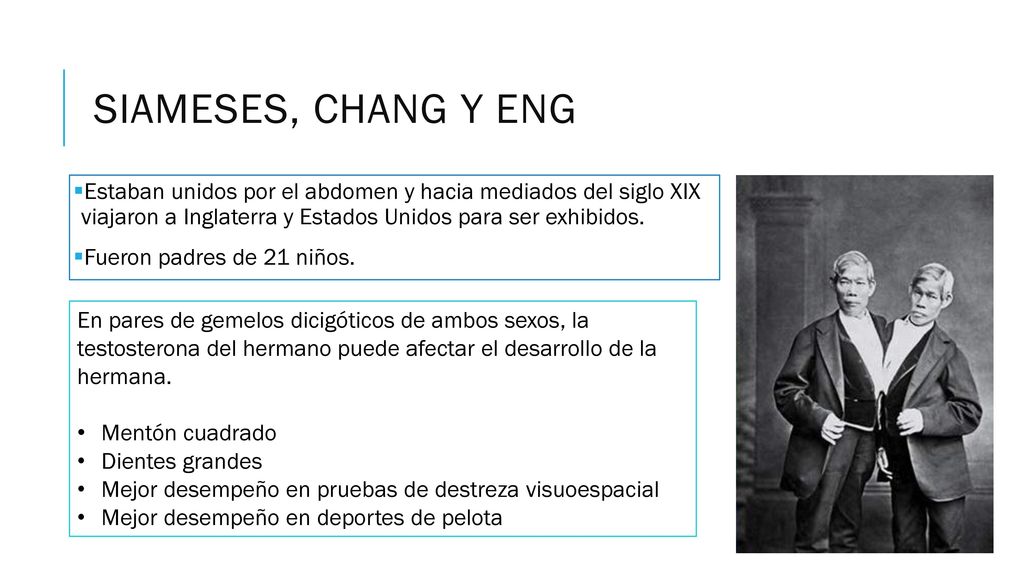 Siameses, chang y eng Estaban unidos por el abdomen y hacia mediados del siglo XIX viajaron a Inglaterra y Estados Unidos para ser exhibidos.