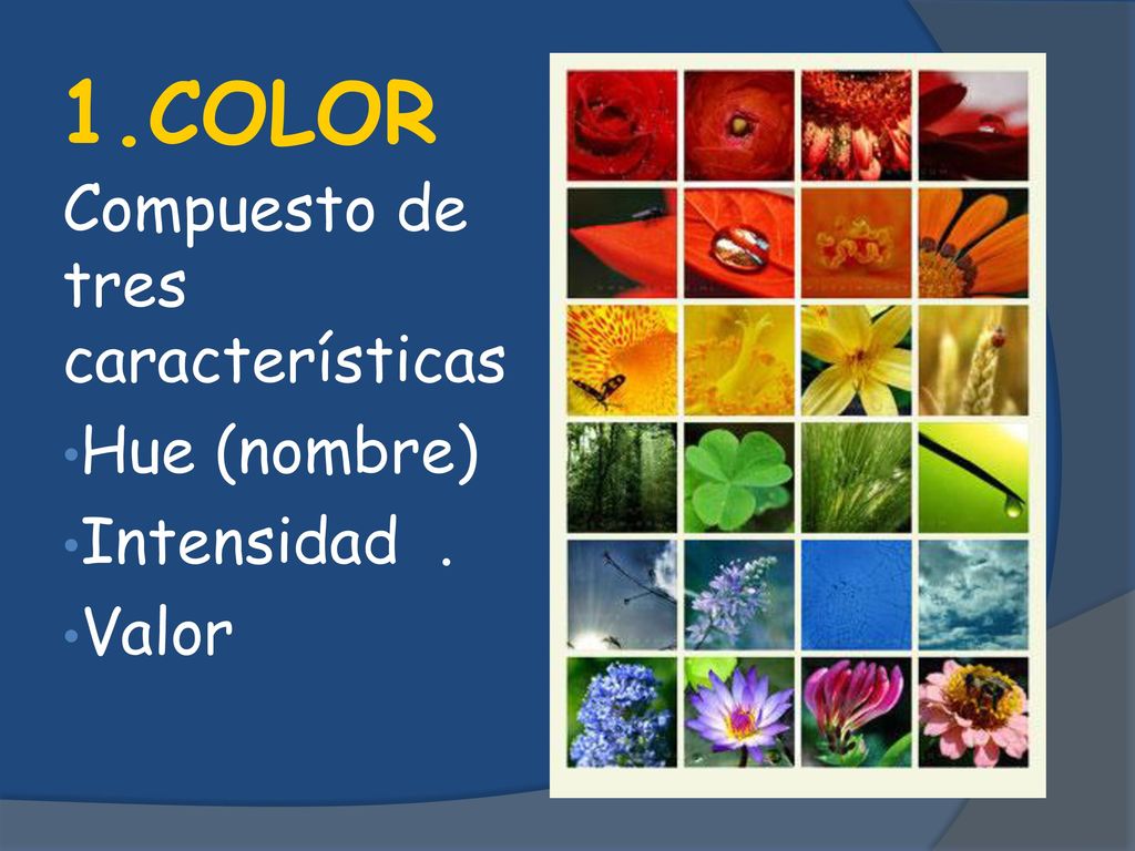 1.COLOR Compuesto de tres características Hue (nombre) Intensidad .