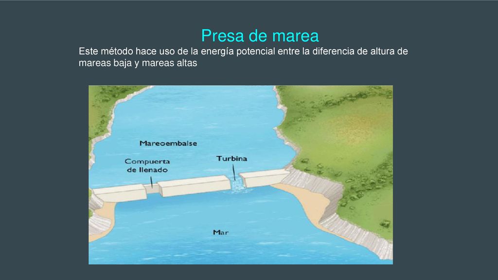 Presa de marea Este método hace uso de la energía potencial entre la diferencia de altura de mareas baja y mareas altas.