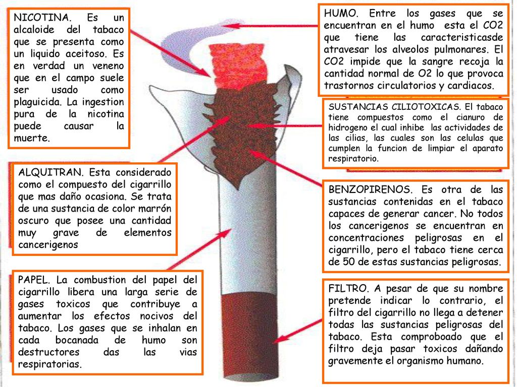 HUMO. Entre los gases que se encuentran en el humo esta el CO2 que tiene las caracteristicasde atravesar los alveolos pulmonares. El CO2 impide que la sangre recoja la cantidad normal de O2 lo que provoca trastornos circulatorios y cardiacos.