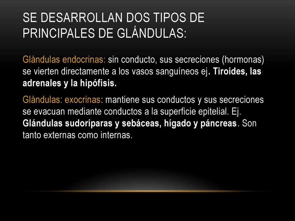 Se desarrollan dos tipos de principales de glándulas: