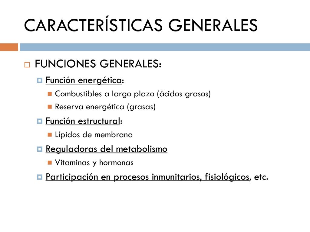 CARACTERÍSTICAS GENERALES