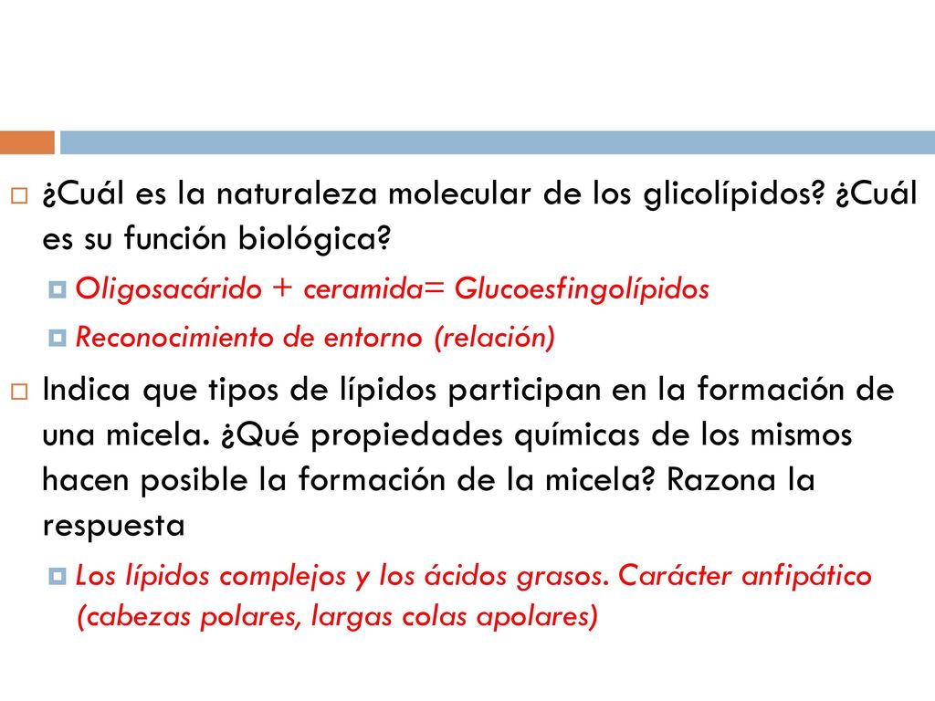 ¿Cuál es la naturaleza molecular de los glicolípidos