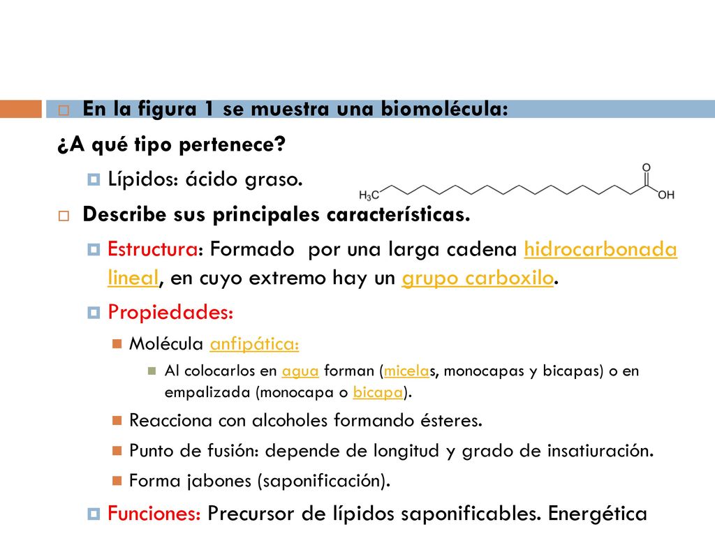 En la figura 1 se muestra una biomolécula: ¿A qué tipo pertenece