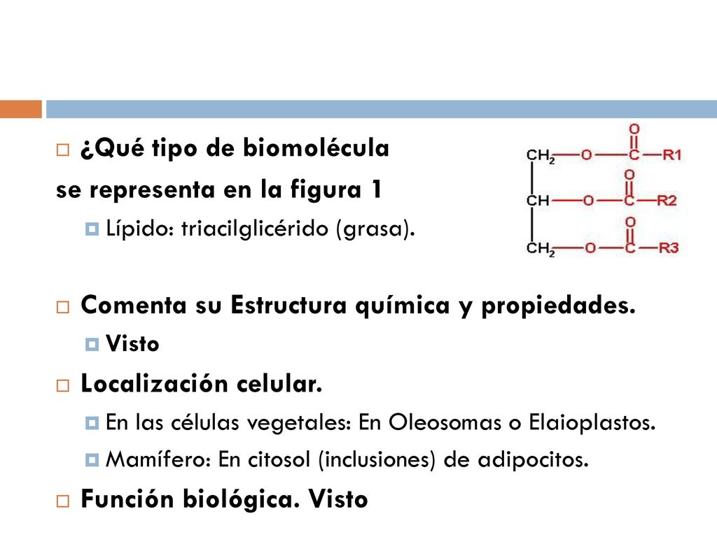 ¿Qué tipo de biomolécula se representa en la figura 1