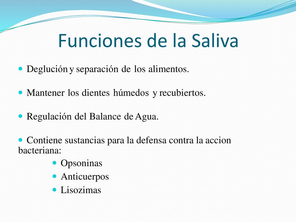 Funciones de la Saliva Deglución y separación de los alimentos.
