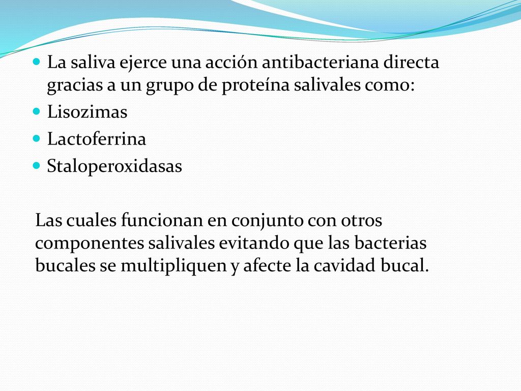 La saliva ejerce una acción antibacteriana directa gracias a un grupo de proteína salivales como:
