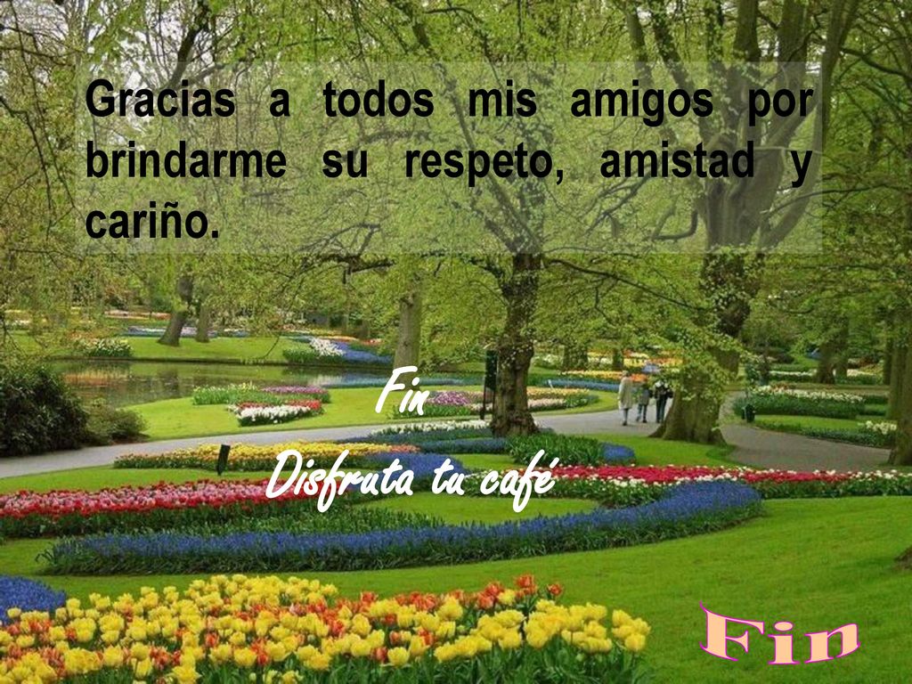 Gracias a todos mis amigos por brindarme su respeto, amistad y cariño.