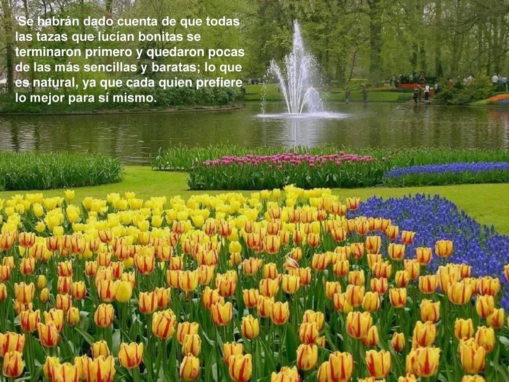 Se habrán dado cuenta de que todas las tazas que lucían bonitas se terminaron primero y quedaron pocas de las más sencillas y baratas; lo que es natural, ya que cada quien prefiere lo mejor para sí mismo.