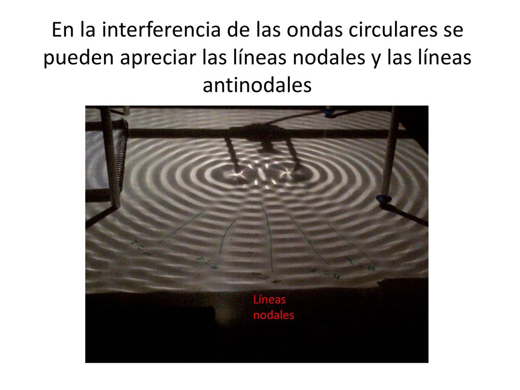 En la interferencia de las ondas circulares se pueden apreciar las líneas nodales y las líneas antinodales