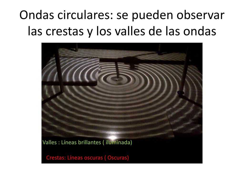 Ondas circulares: se pueden observar las crestas y los valles de las ondas