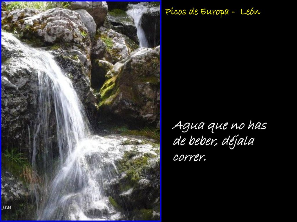 Agua que no has de beber, déjala correr.