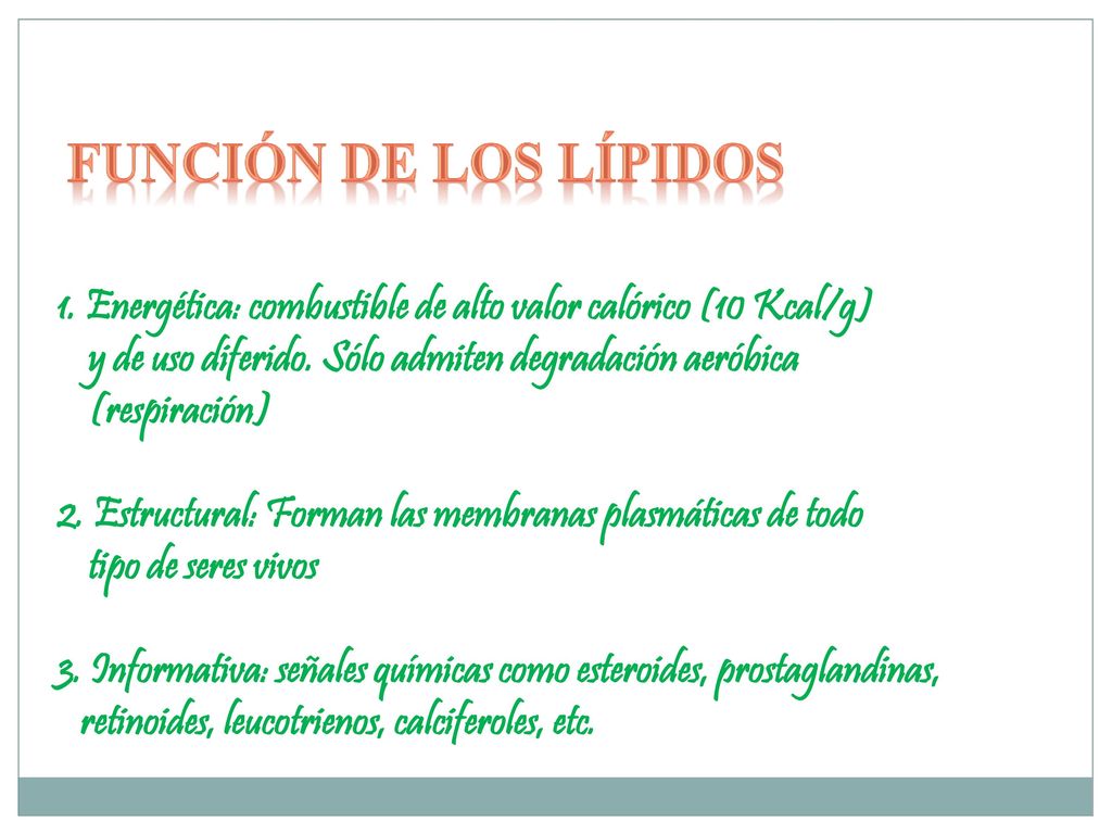Función de los lípidos 1. Energética: combustible de alto valor calórico (10 Kcal/g) y de uso diferido. Sólo admiten degradación aeróbica.