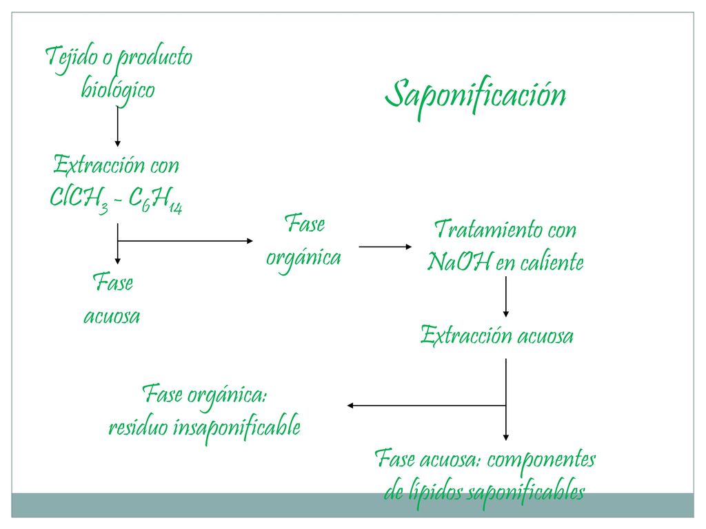 Saponificación Tejido o producto biológico Extracción con