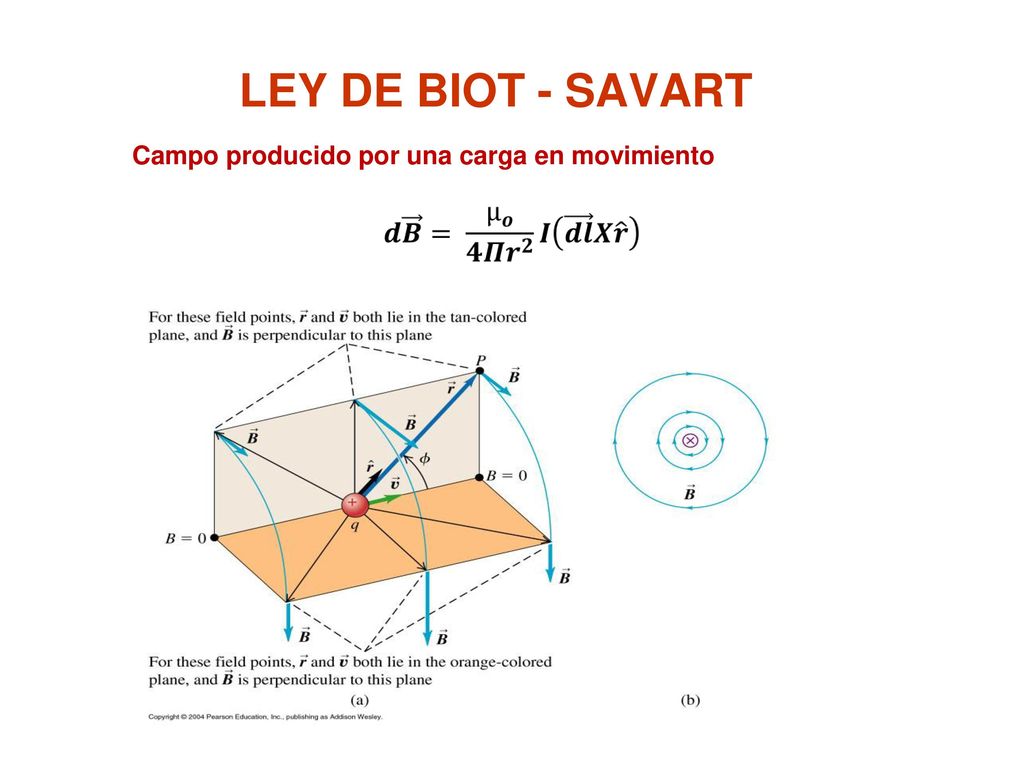 LEY DE BIOT - SAVART Campo producido por una carga en movimiento