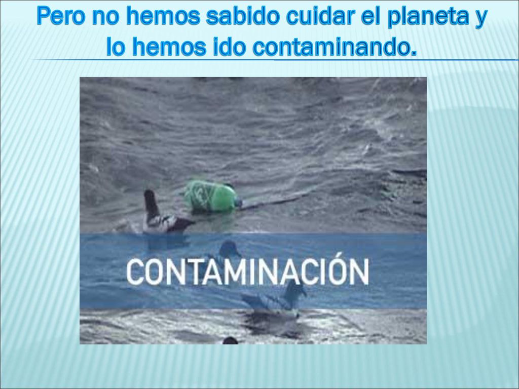 Pero no hemos sabido cuidar el planeta y lo hemos ido contaminando.