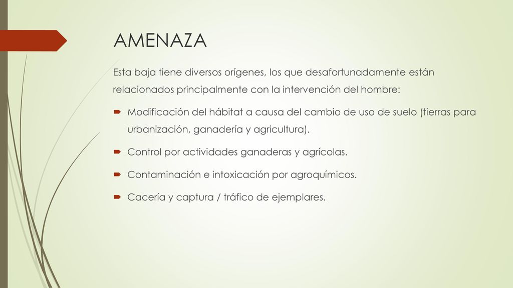 AMENAZA Esta baja tiene diversos orígenes, los que desafortunadamente están relacionados principalmente con la intervención del hombre: