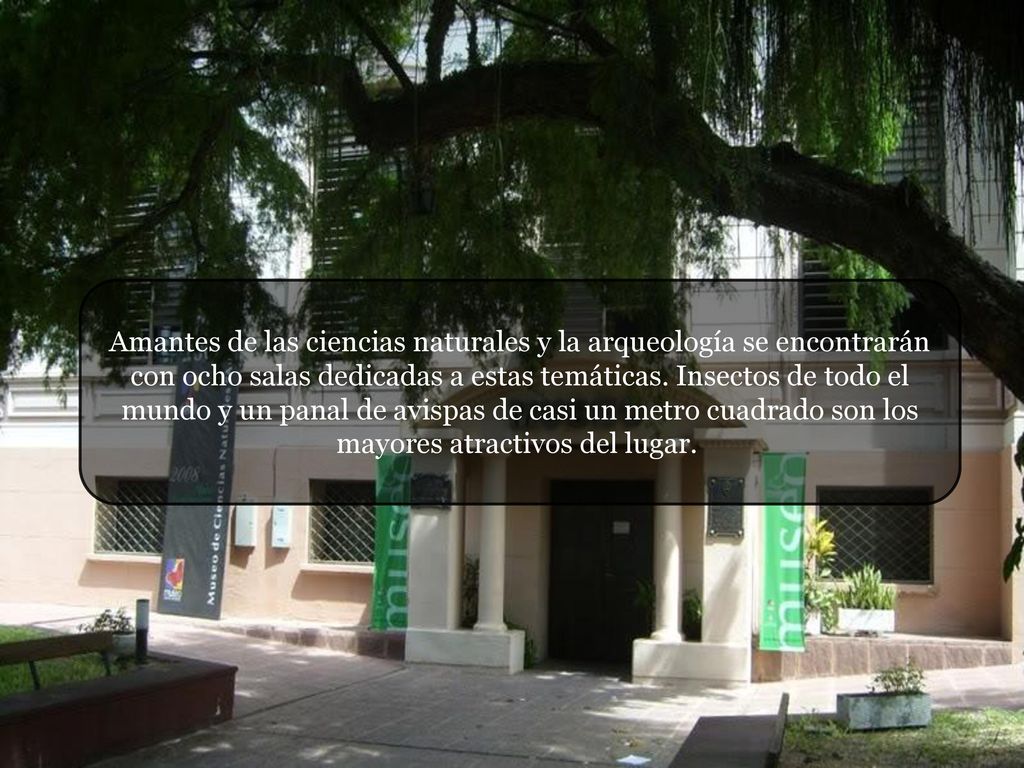 Amantes de las ciencias naturales y la arqueología se encontrarán con ocho salas dedicadas a estas temáticas.