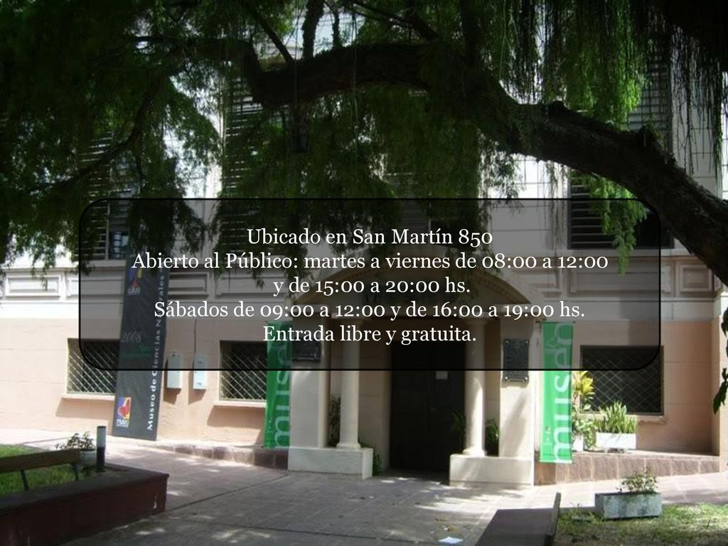 Abierto al Público: martes a viernes de 08:00 a 12:00