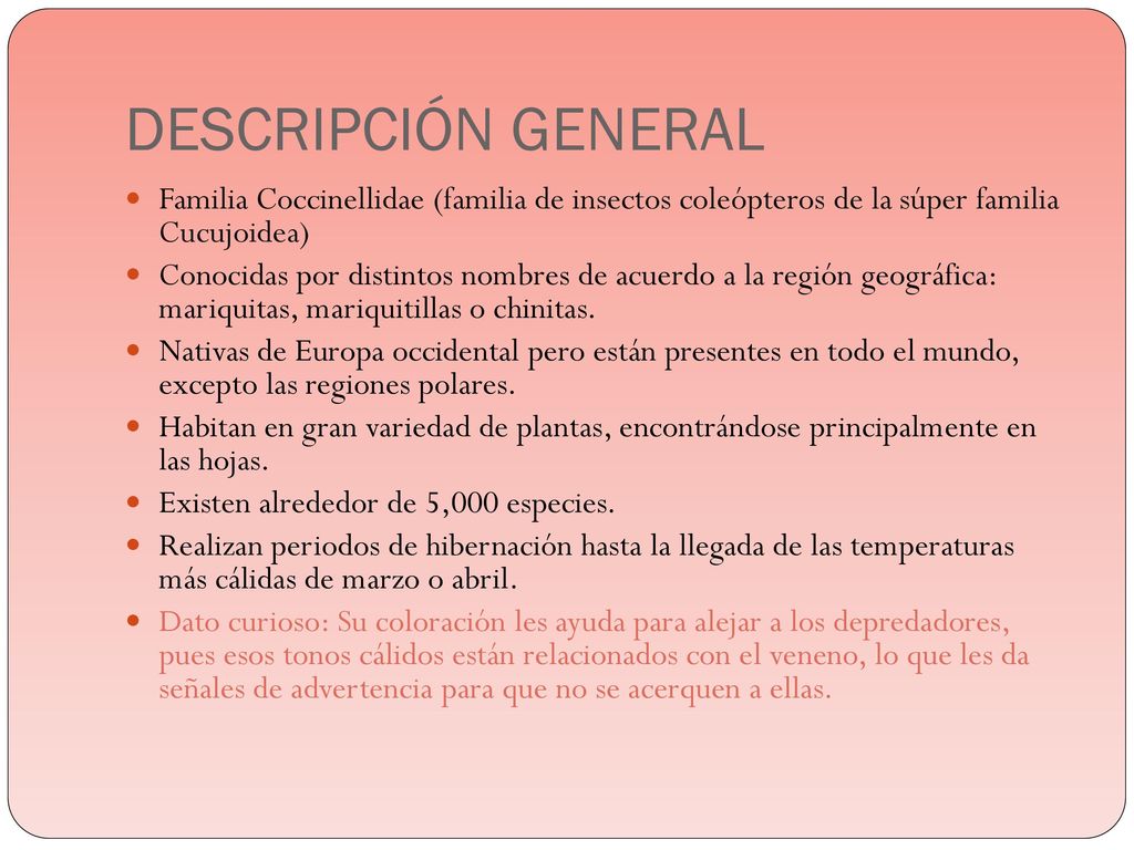 DESCRIPCIÓN GENERAL Familia Coccinellidae (familia de insectos coleópteros de la súper familia Cucujoidea)