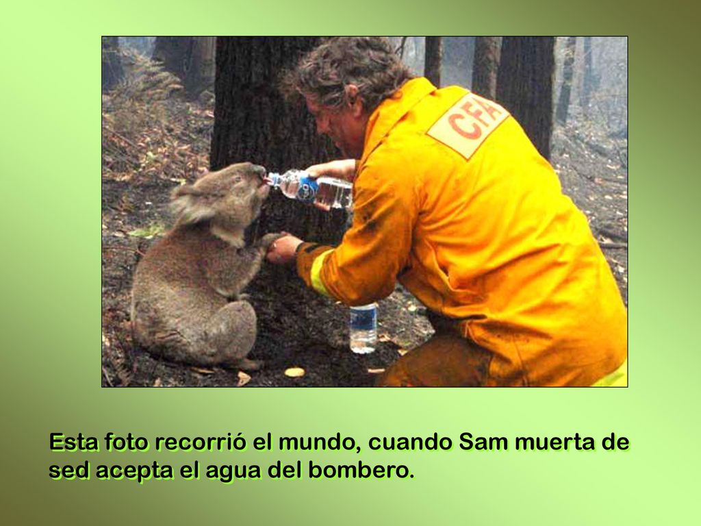 Esta foto recorrió el mundo, cuando Sam muerta de
