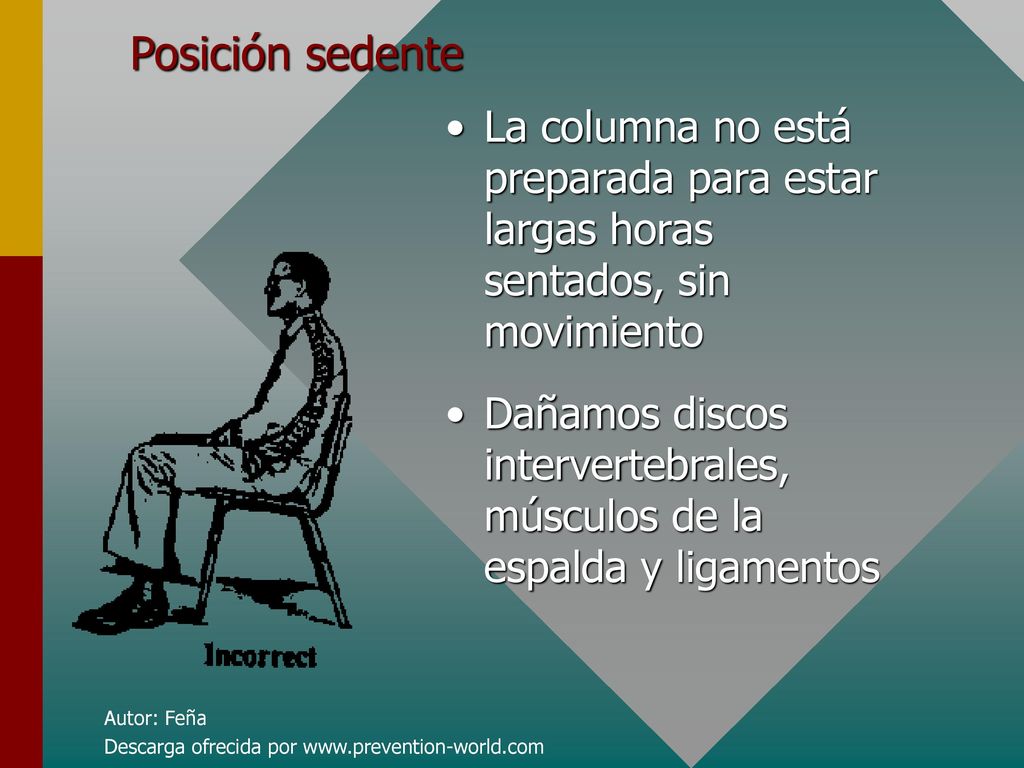 Posición sedente La columna no está preparada para estar largas horas sentados, sin movimiento.