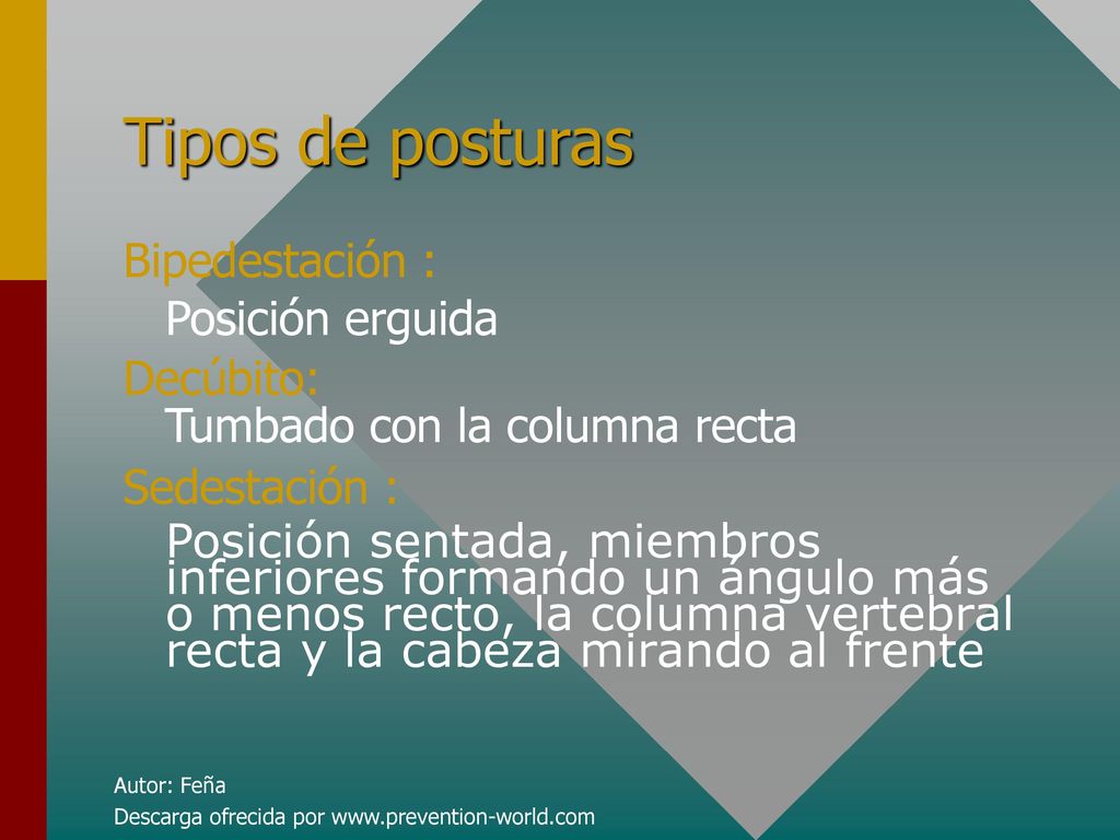 Tipos de posturas Bipedestación : Posición erguida Decúbito: