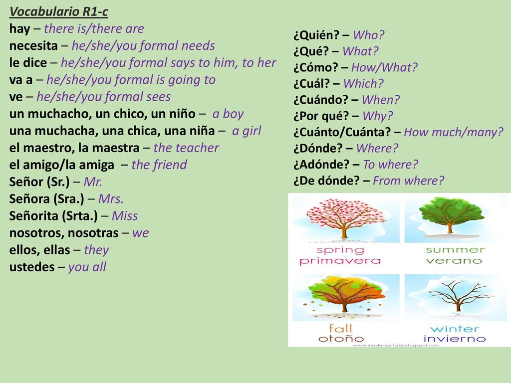hay – there is/there are necesita – he/she/you formal needs