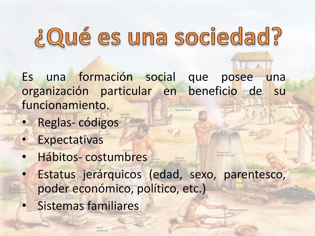 ¿Qué es una sociedad Es una formación social que posee una organización particular en beneficio de su funcionamiento.